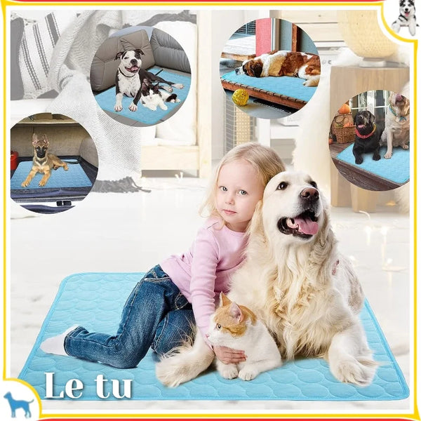 Dog Mat Summer Cooling Pad Mat - Bubba My Shop